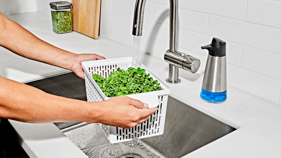 How to Keep Your Fruits and Veggies Fresh Longer How to Keep Your Fruits and Veggies Fresh Longer